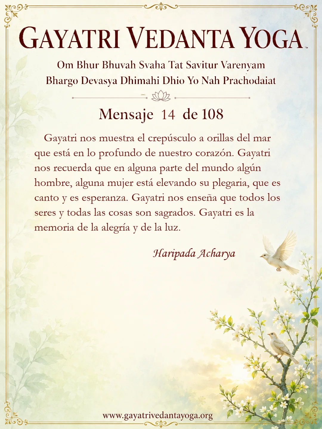 Tarjeta del mensaje 14 de 108